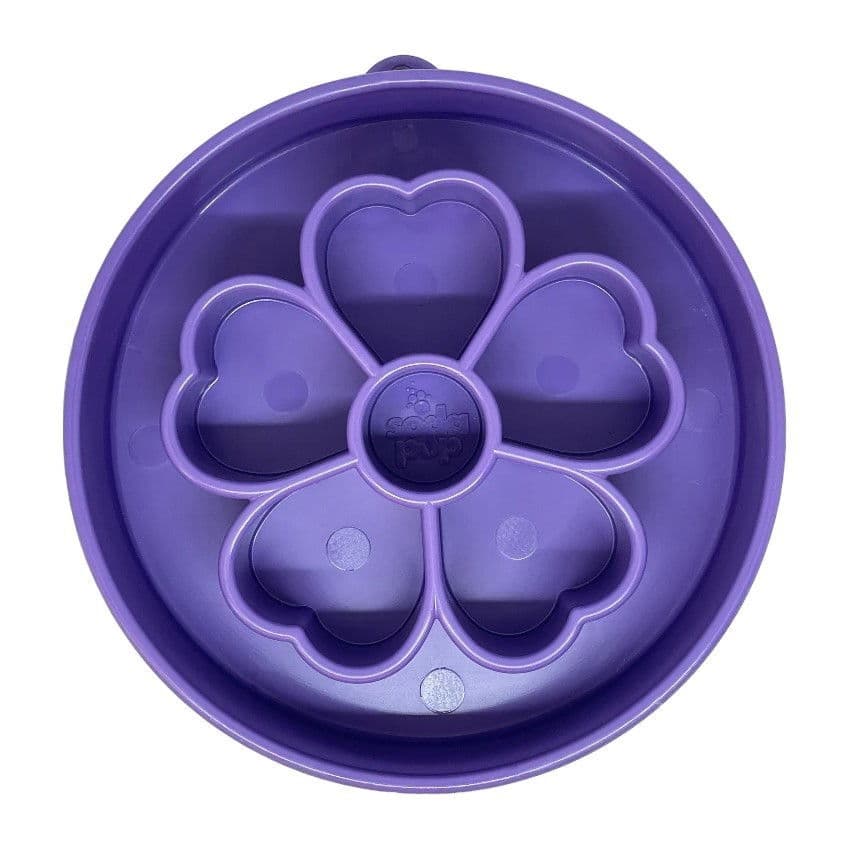 Ahmimisenestokuppi SodaPup Flower – SodaPup