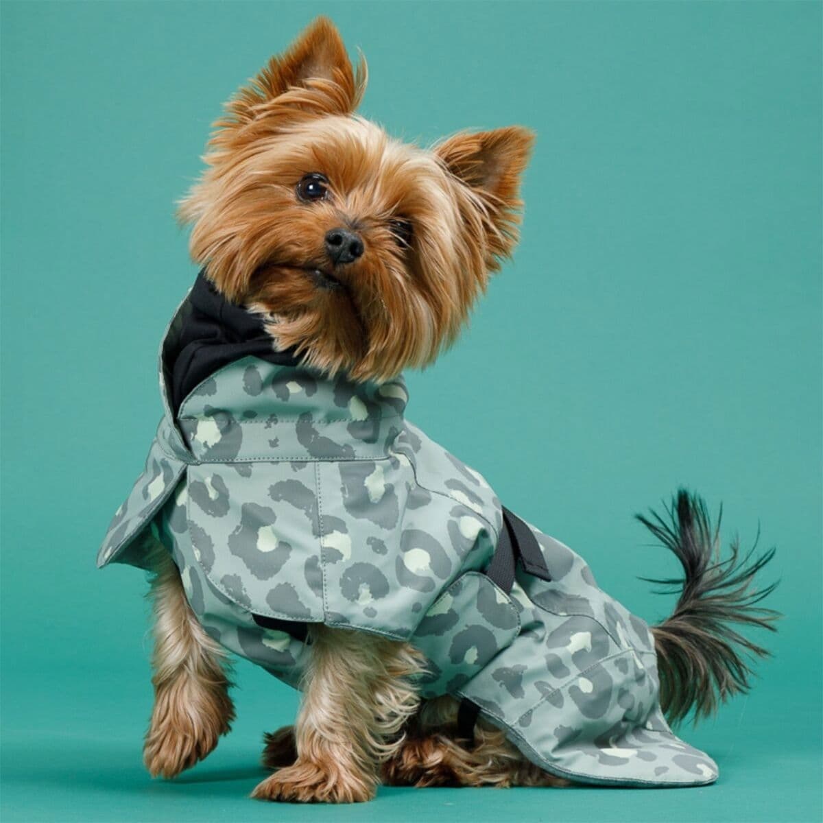 PAIKKA Visibility talvitakki, green leo – PAIKKA