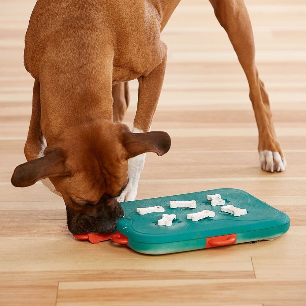 Aktivointilelu Dog Casino, turkoosi – Nina Ottosson