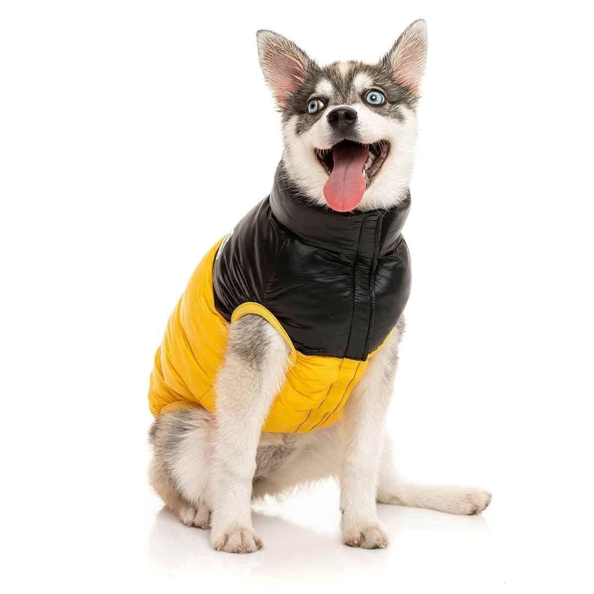 Koiran takki FuzzYard Harlem Puffer, keltainen – FuzzYard