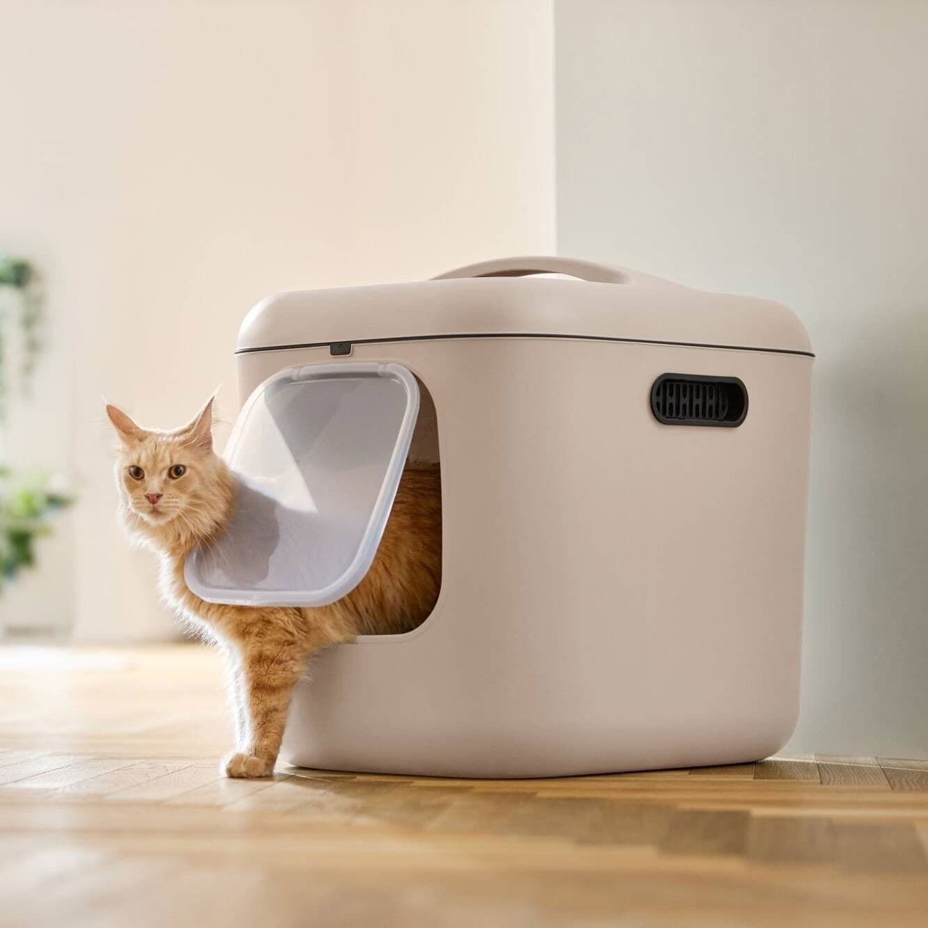 MyPet Biala Kissanvessa XL – rotho