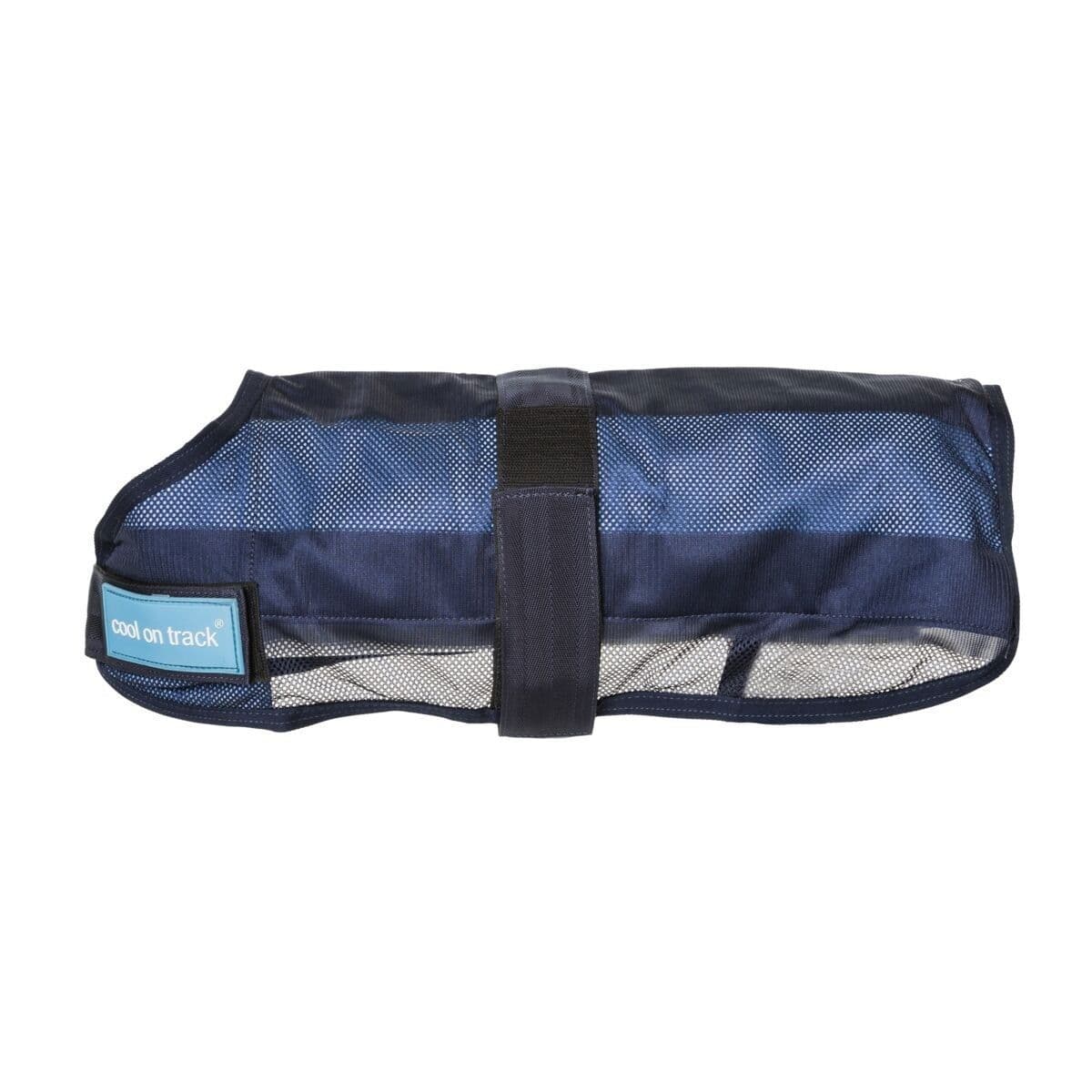 Viilennysloimi Back on Track – Back On Track