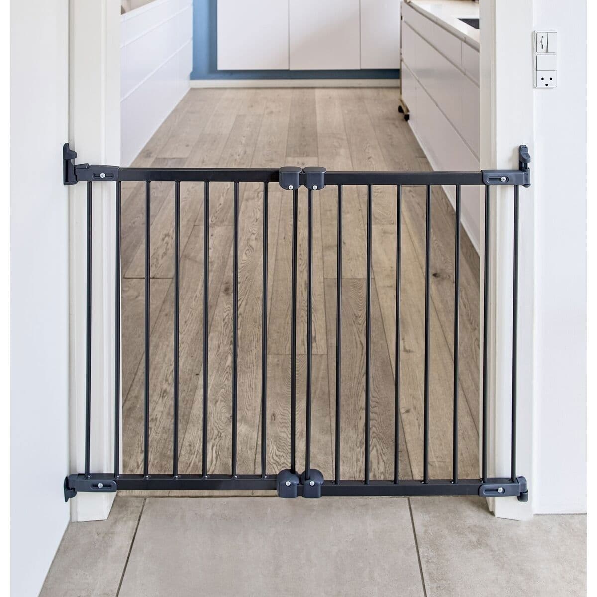 Säädettävä koiraportti DogSpace Molly 67-105 cm – DogSpace