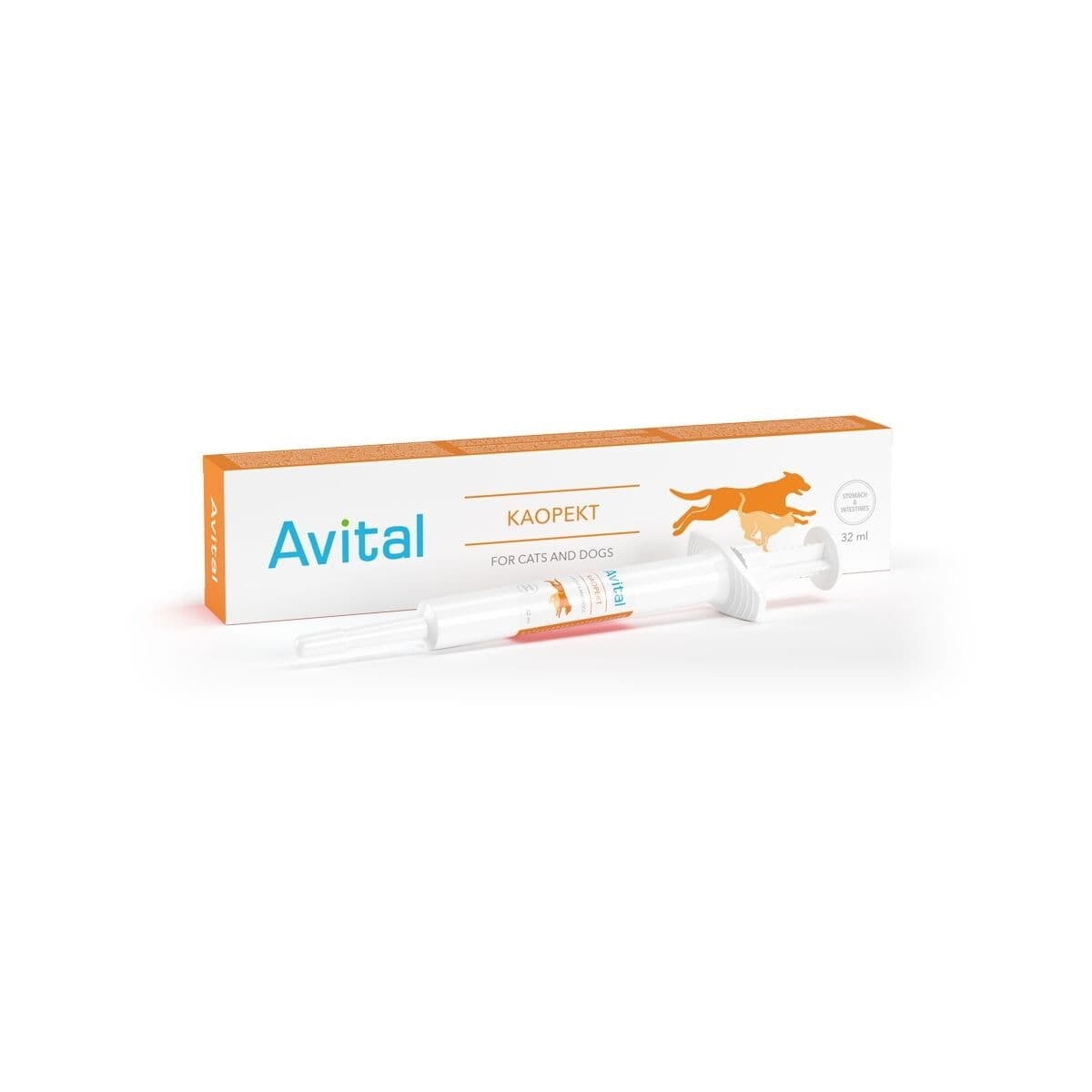 Avital Kaopekt – Avital