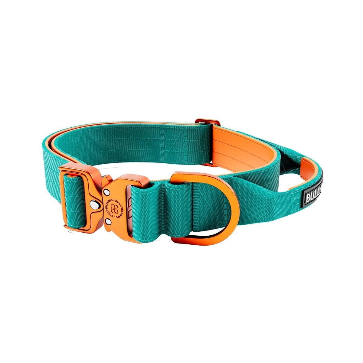 BullyBillows Combat kaulapanta kahvalla, turkoosi & oranssi 4 cm – BullyBillows