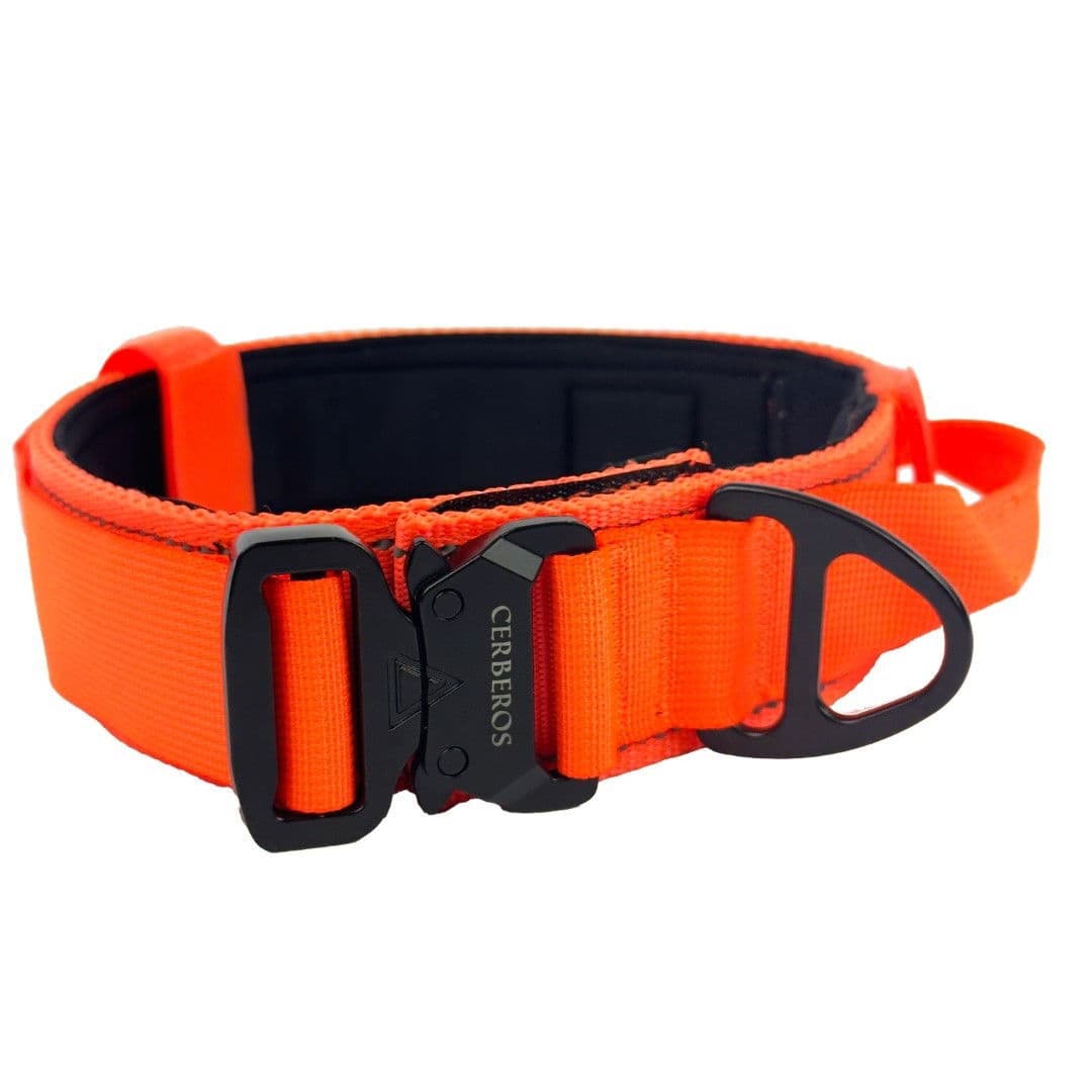 Cerberos panta, Rescue Orange – Cerberos