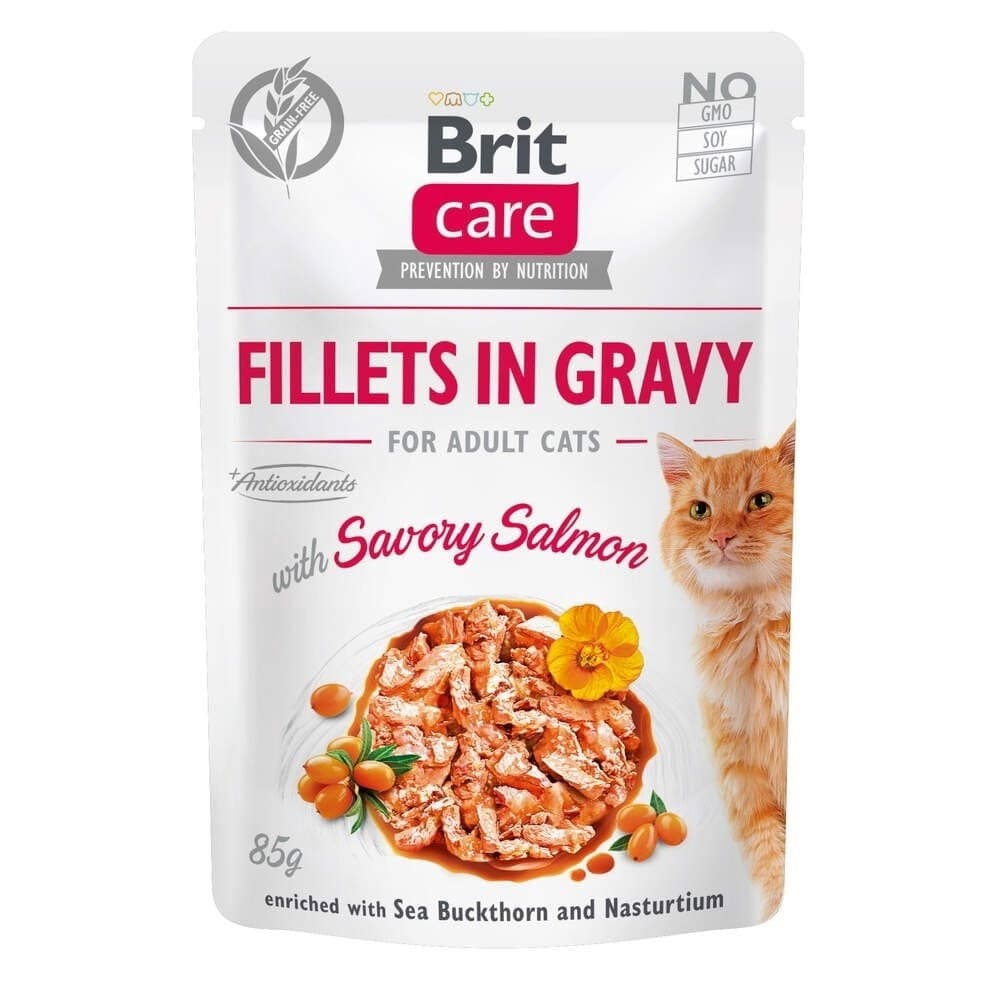 Brit Care Gravy lohifilee kastikkeessa 85 g – Brit Care