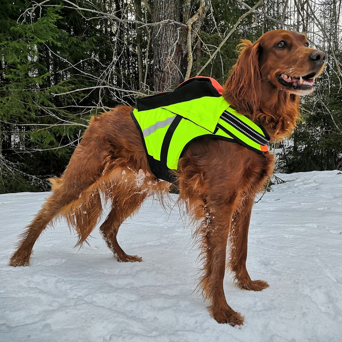 Kardog-kelluttava GPS-liivi Jehu – Kardog