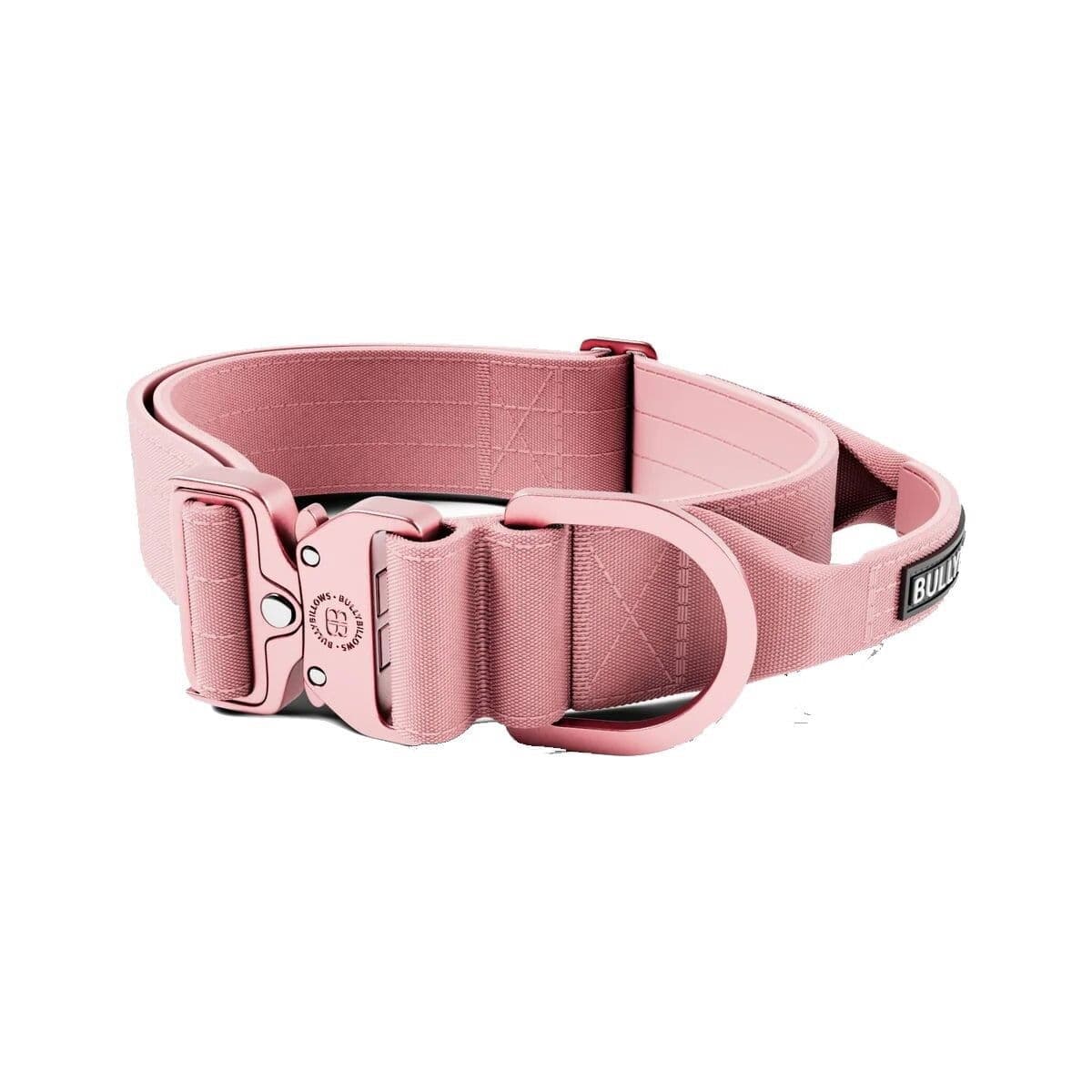 BullyBillows Combat Kahvapanta koiralle, pinkki 5 cm – BullyBillows