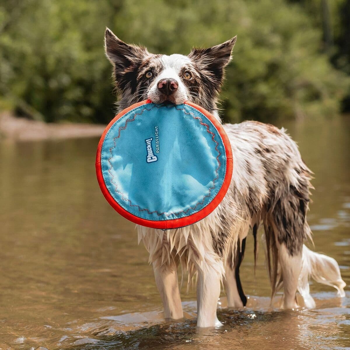 Chuckit Paraflight L – Chuckit