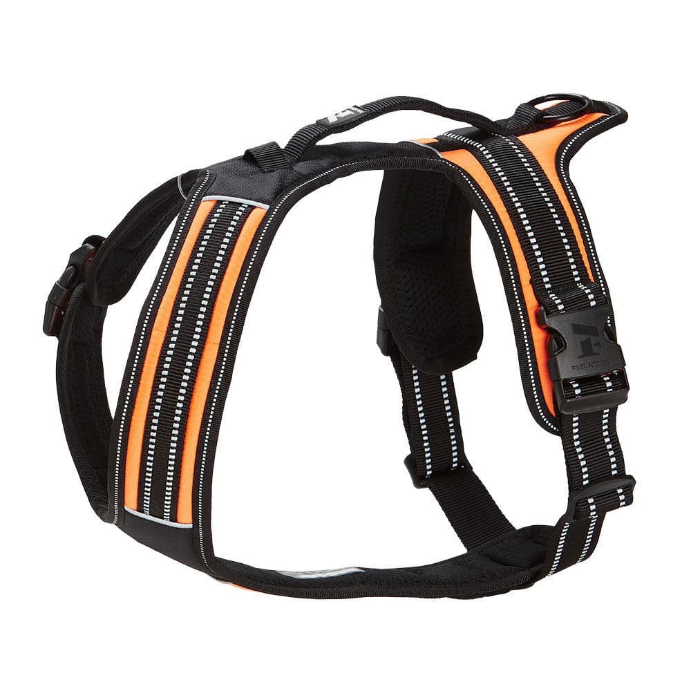 Koiran valjaat FA Sport, oranssi – Feel Active