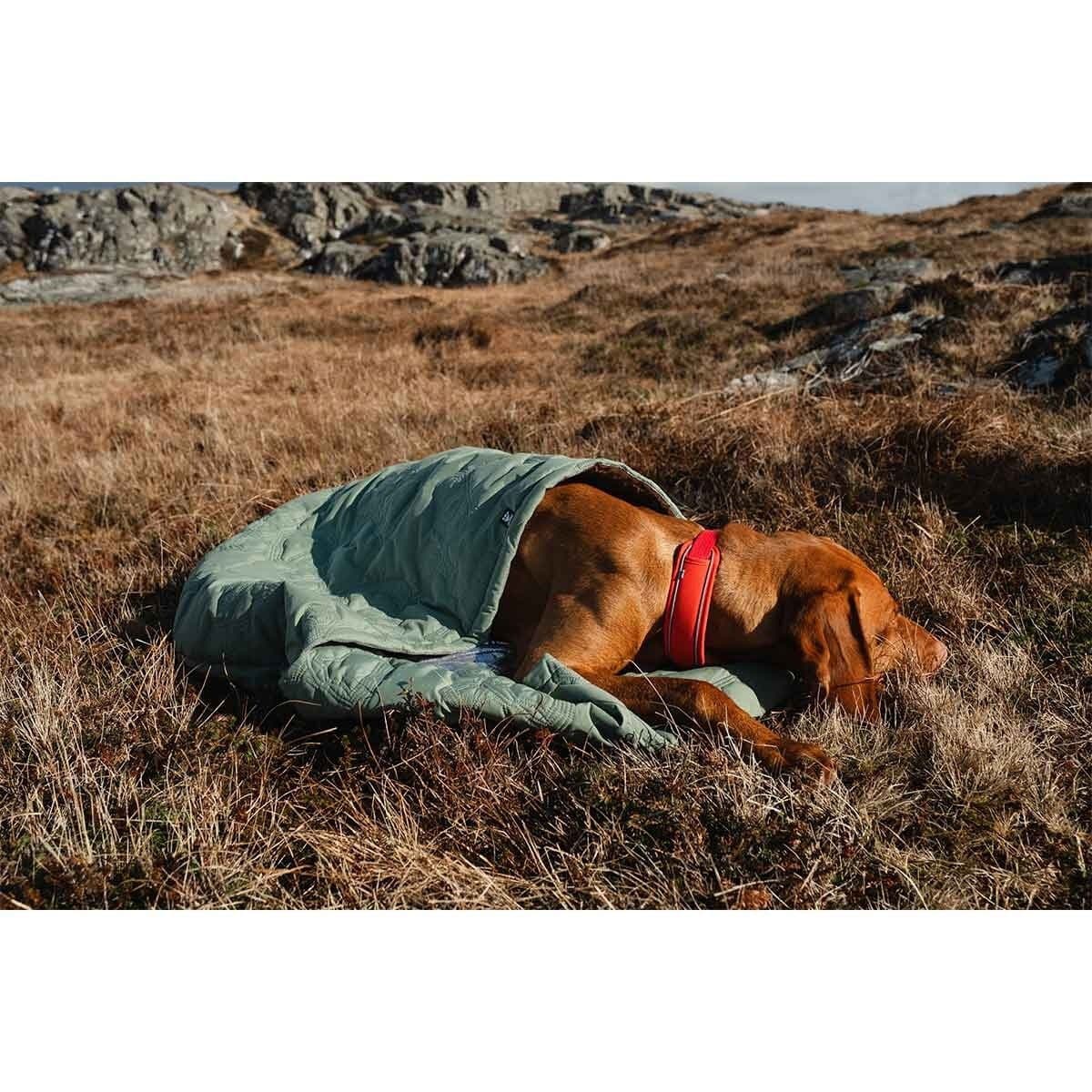 Hurtta Outback Dreamer koiran makuupussi ECO – Hurtta