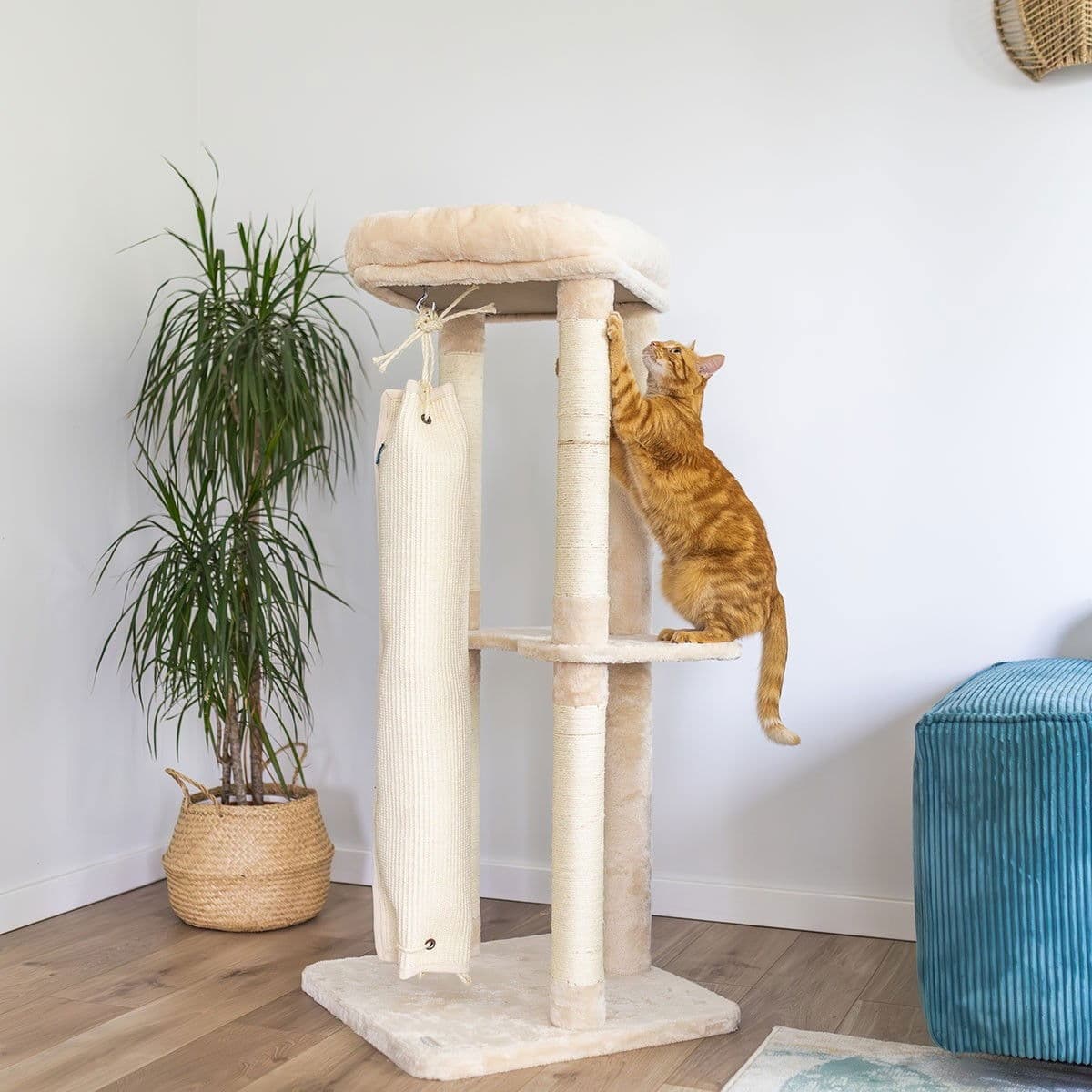 Quapas! Raapimapuu kiipeilypussilla 136 cm – Quapas!