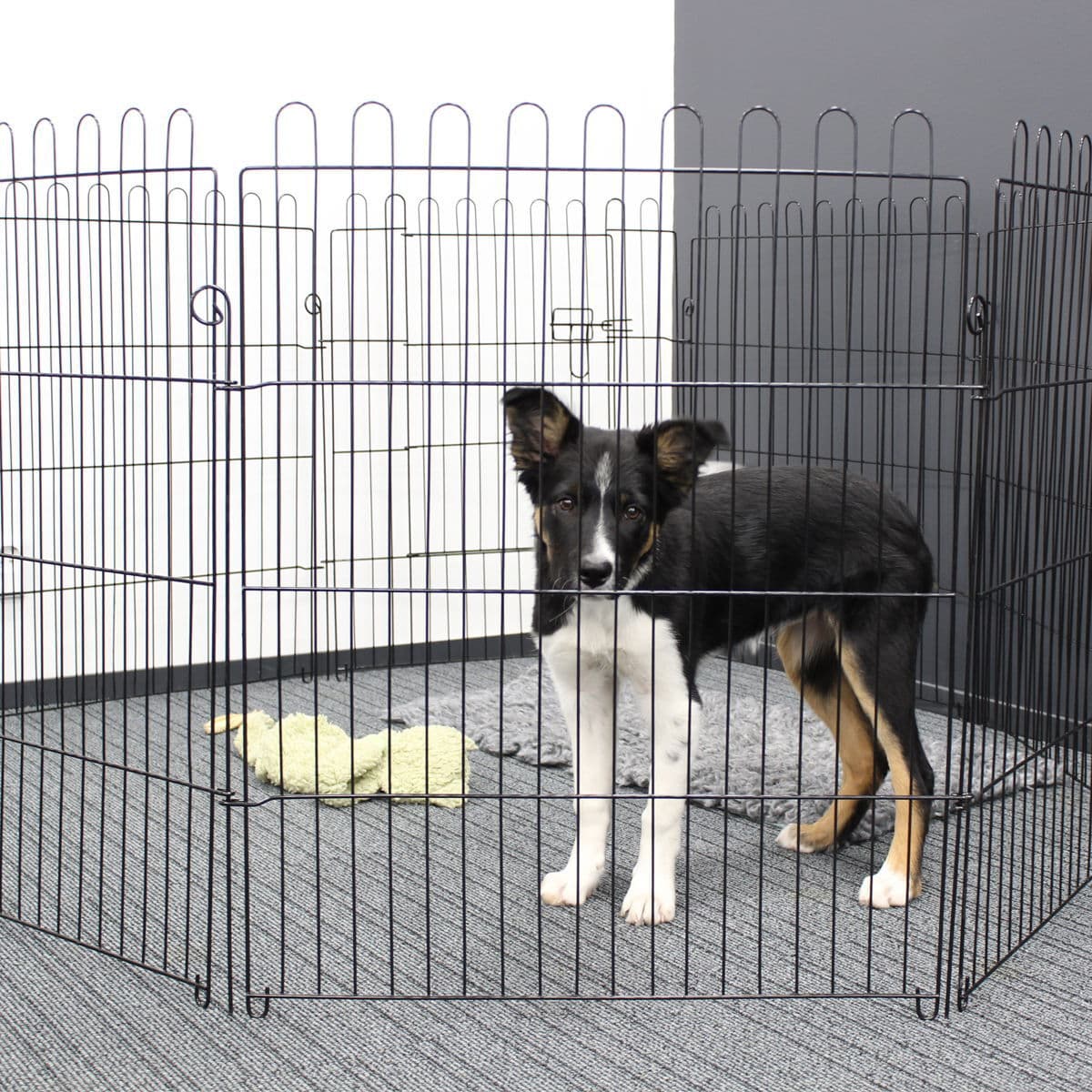 Pentuaitaus Pet Easy – PetEasy