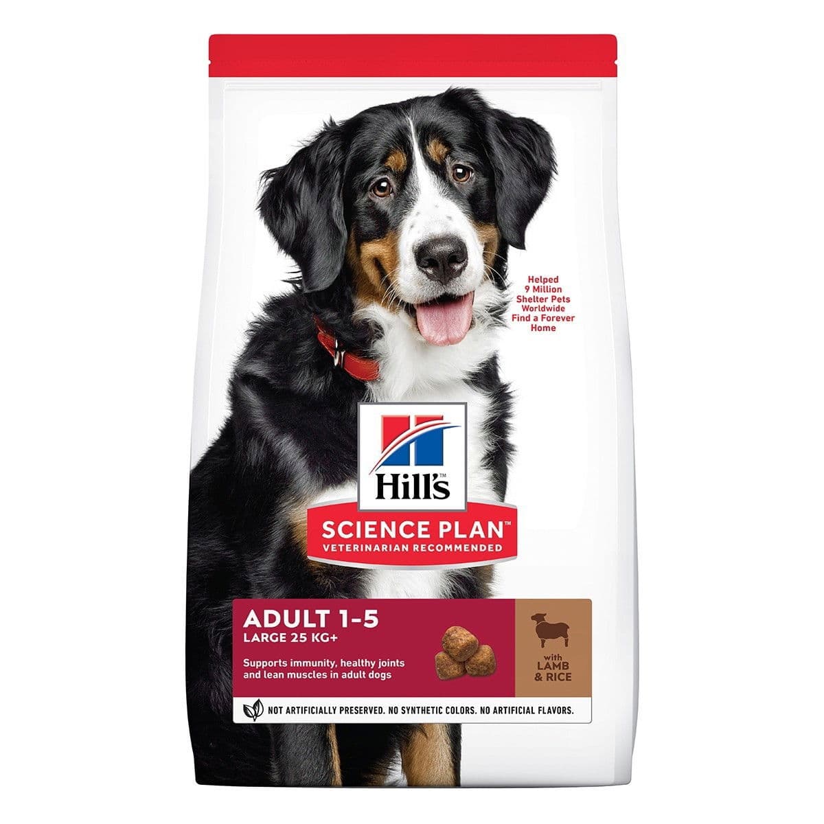 Hill's SP Adult Large Breed Lamb & Rice 14 kg – Hill's