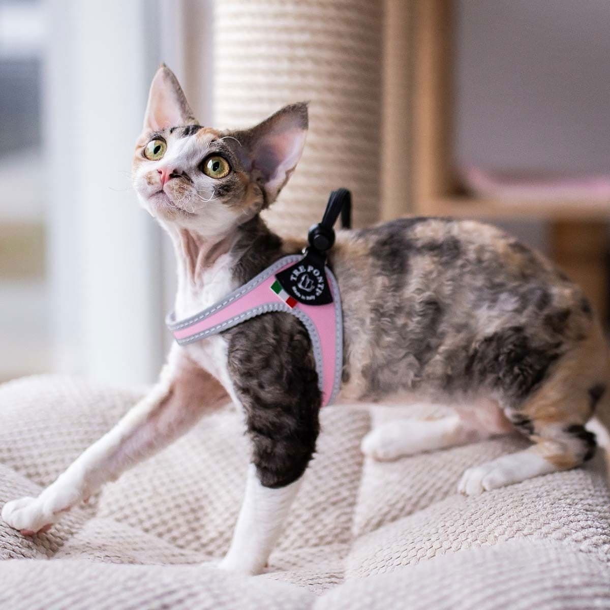 Tre Ponti Easy Fit valjaat, vaaleanpunainen – TrePonti