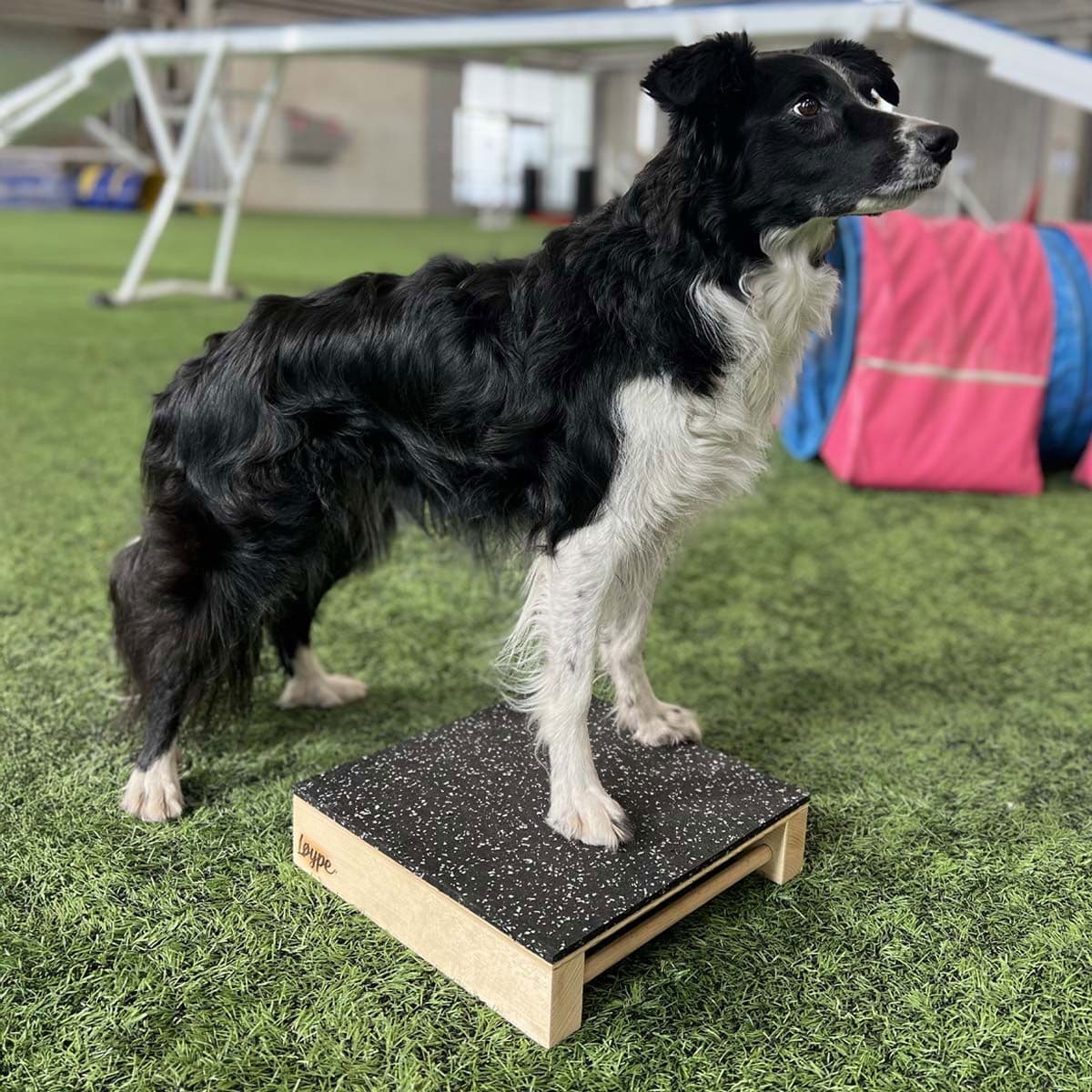 Loype Hamtal Tartan kumipäällysteinen puutargetti – Loype