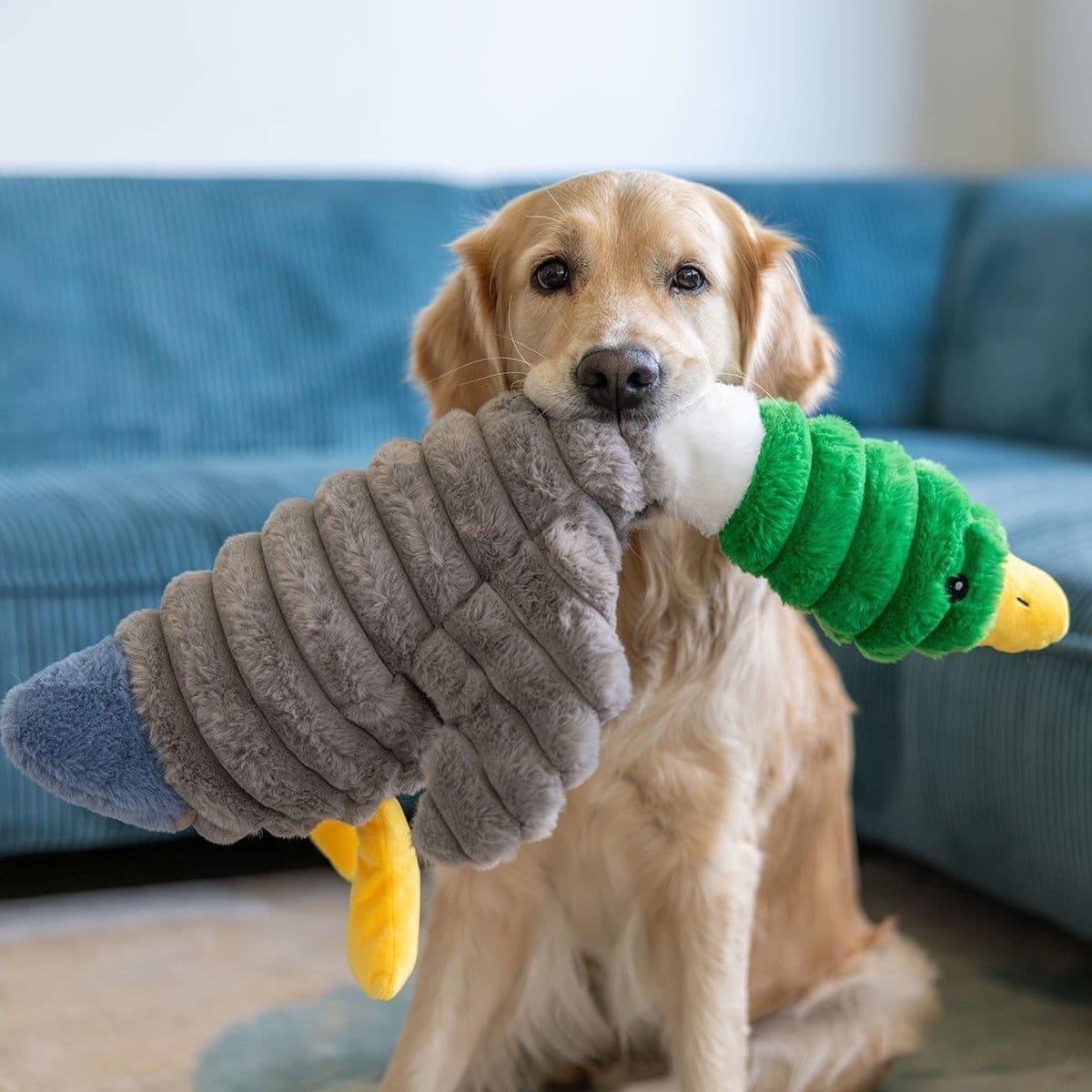 Quapas! Sorsa 66 cm – Quapas!