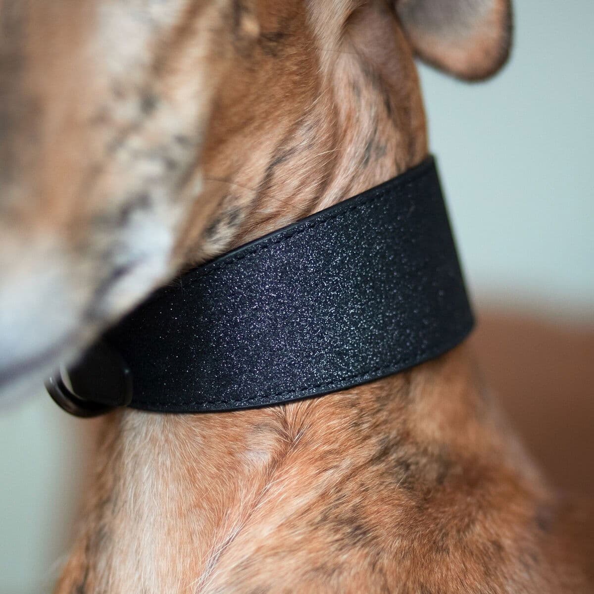 Collar of Sweden leveä solkipanta, musta glitter – Collar of Sweden