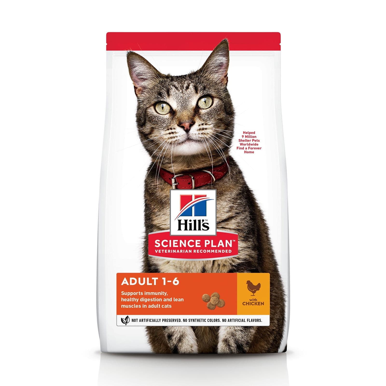Hill's SP Feline Adult Chicken – Hill's