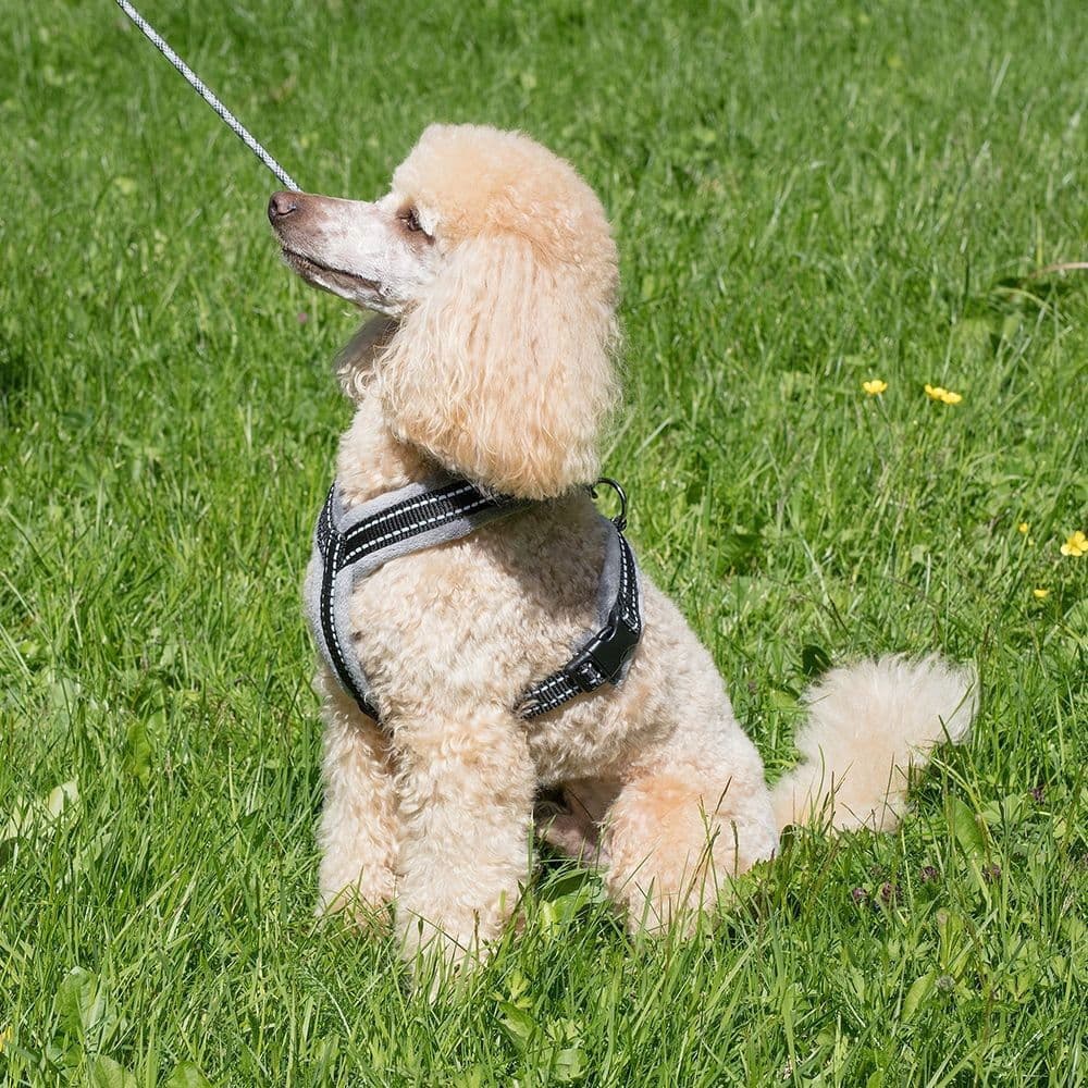 Y-valjas Basic Cosy, savu – Basic