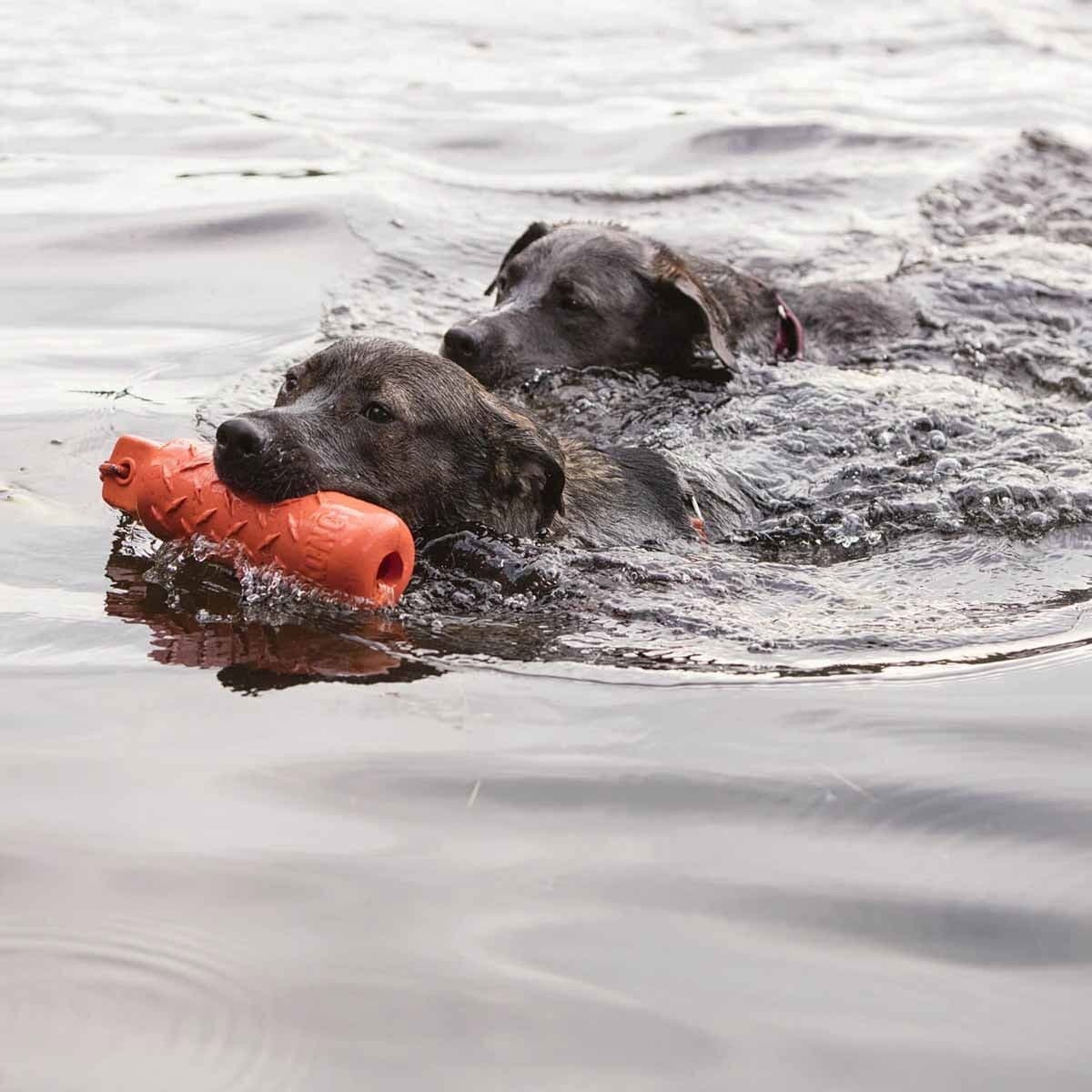 KONG Training Dummy – Kong