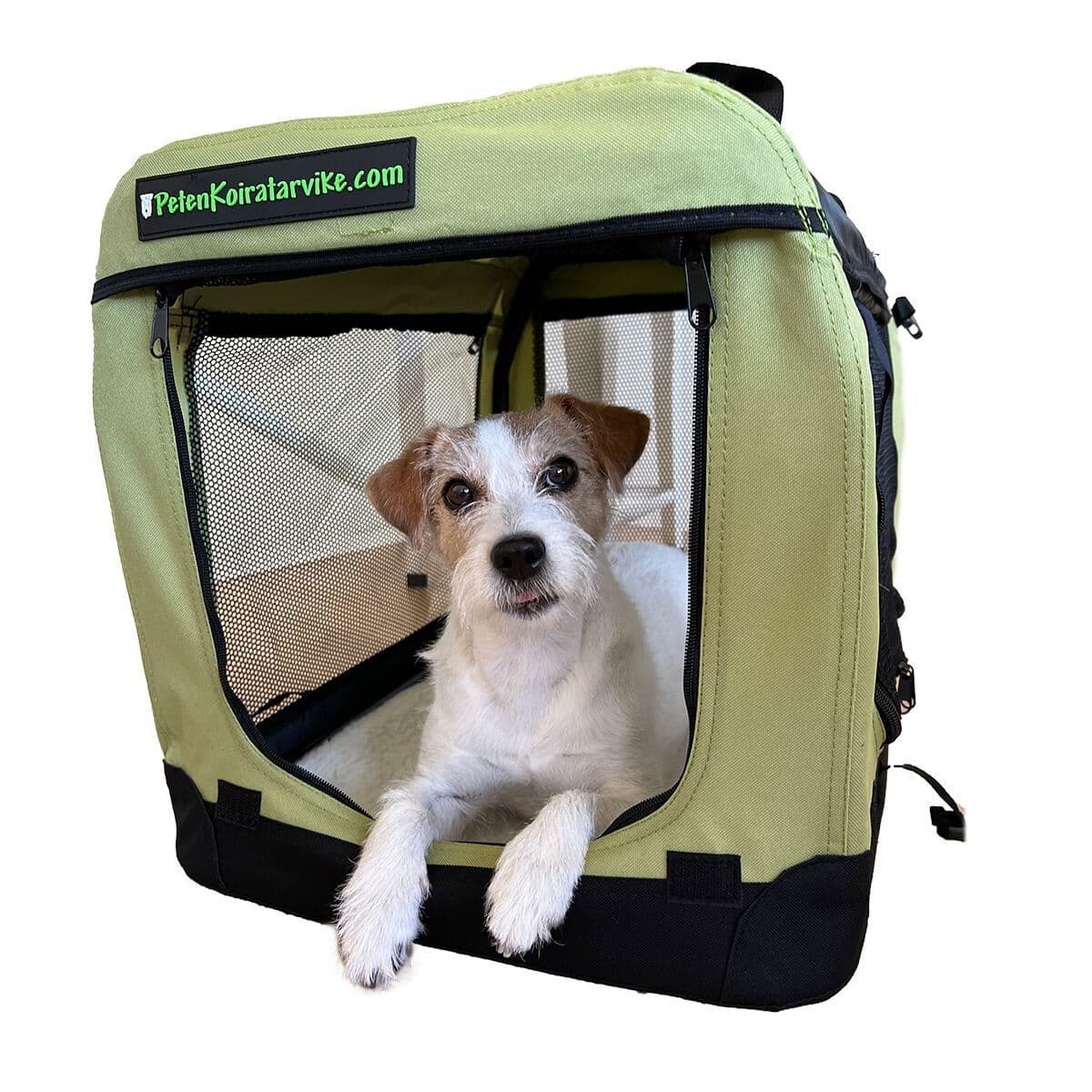 Kevythäkki PetEasy saniainen – PetEasy