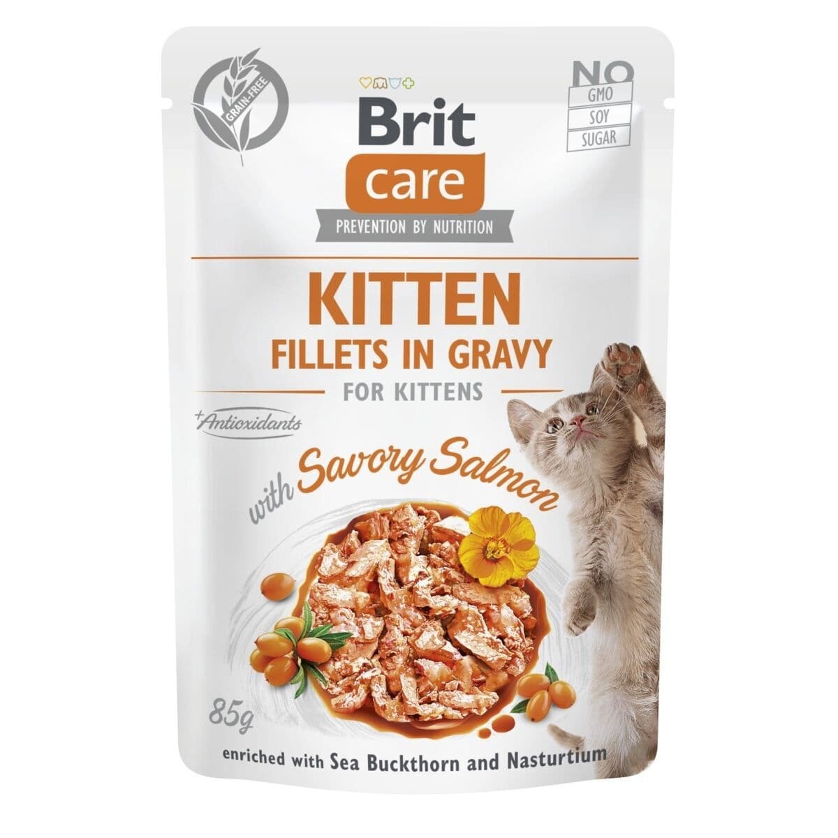 Brit Care Cat Kitten lohi kastikkeessa 85 g – Brit Care