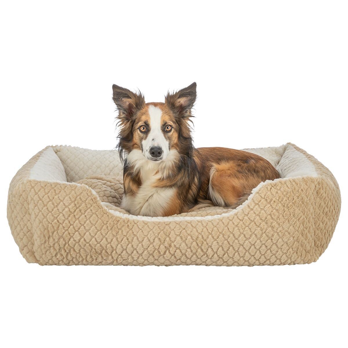 Koiranpeti Trixie Kaline Mio – Trixie