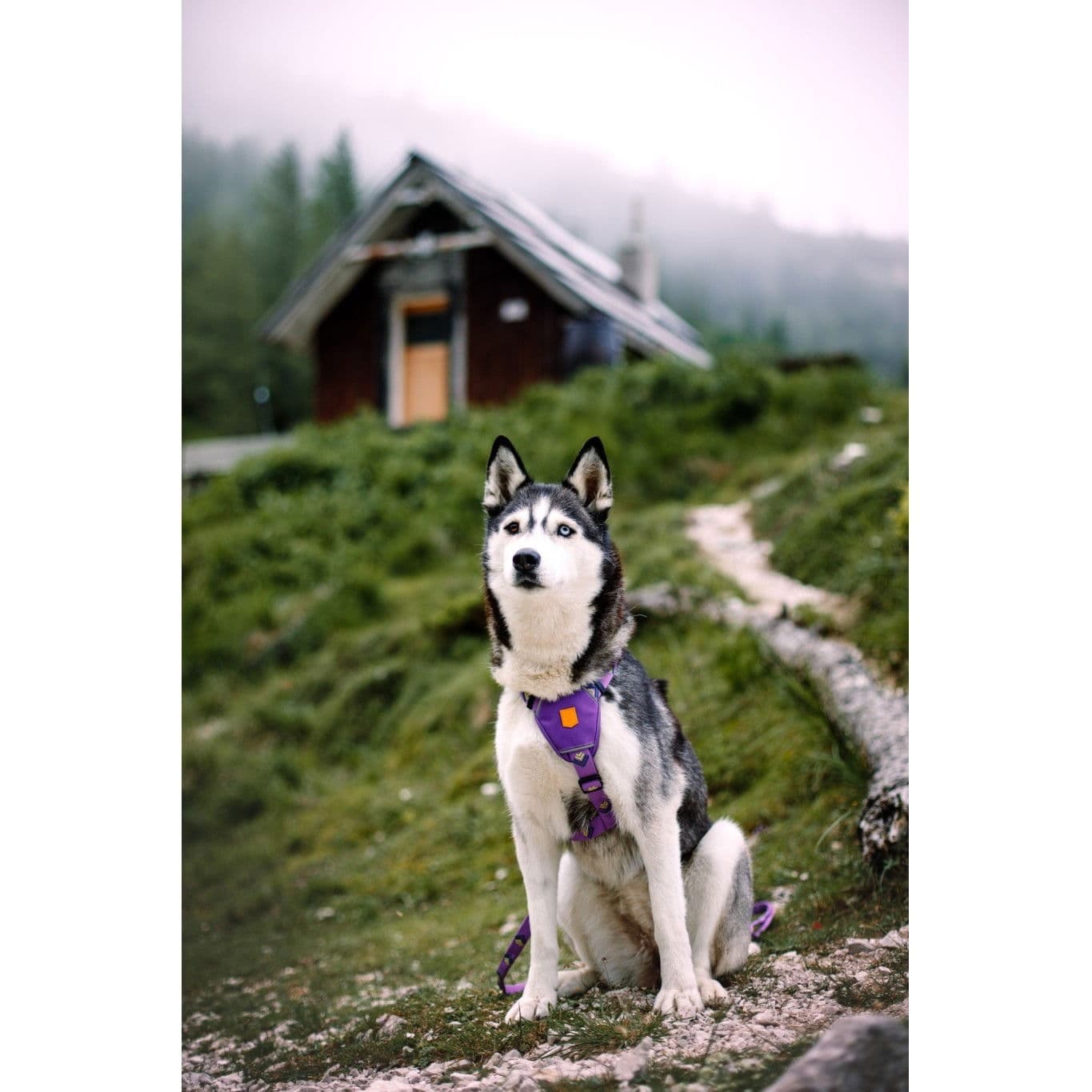Woolly Wolf Northern Lights valjaat – Woolly Wolf