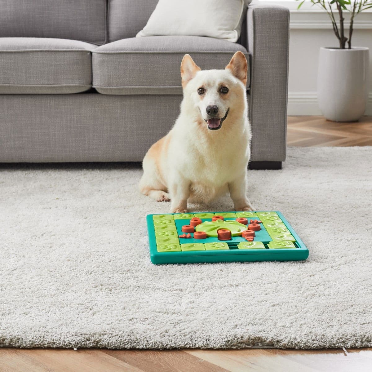 Nina Ottosson Dog MultiPuzzle vihreä – Nina Ottosson