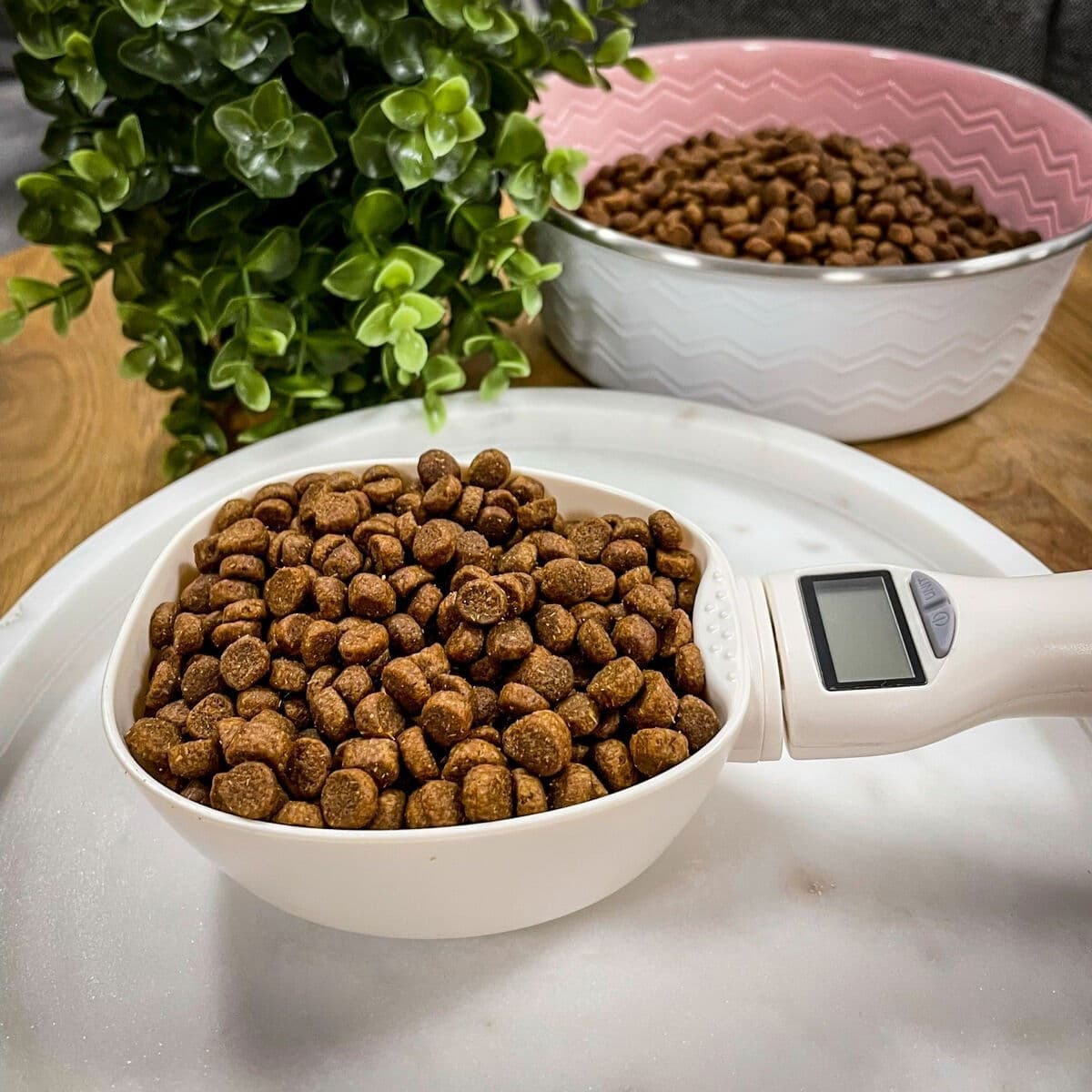 Punnitseva mittakauha Basic – Basic