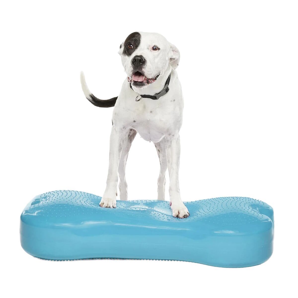 FitPaws K9FitBone Giant, 86 x 39 x 15 cm – FitPaws