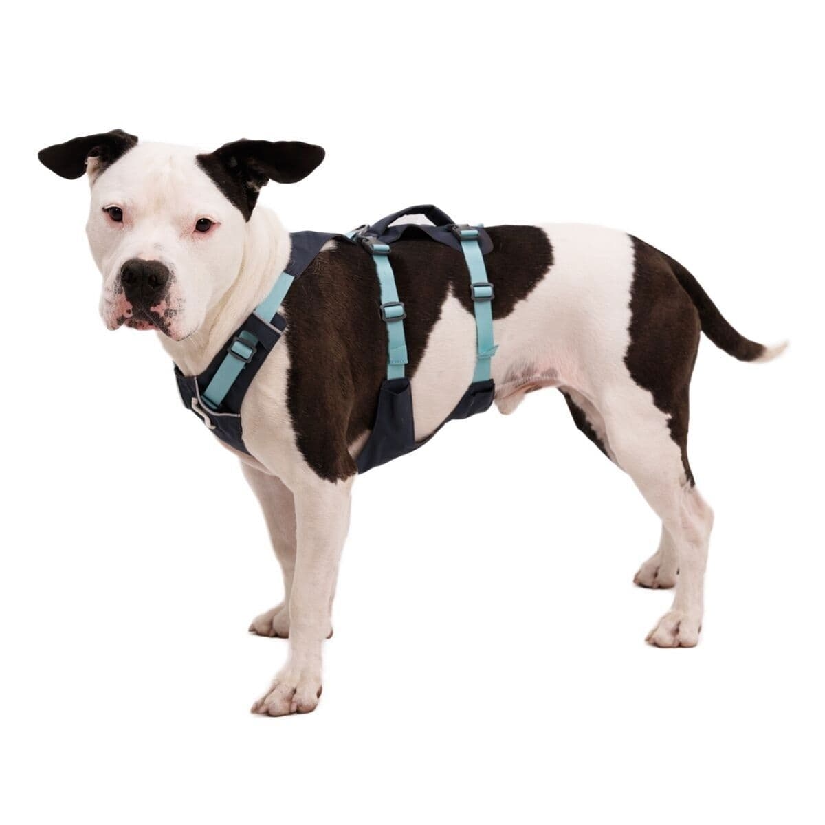 Ruffwear Flagline valjaat, harmaa – RuffWear