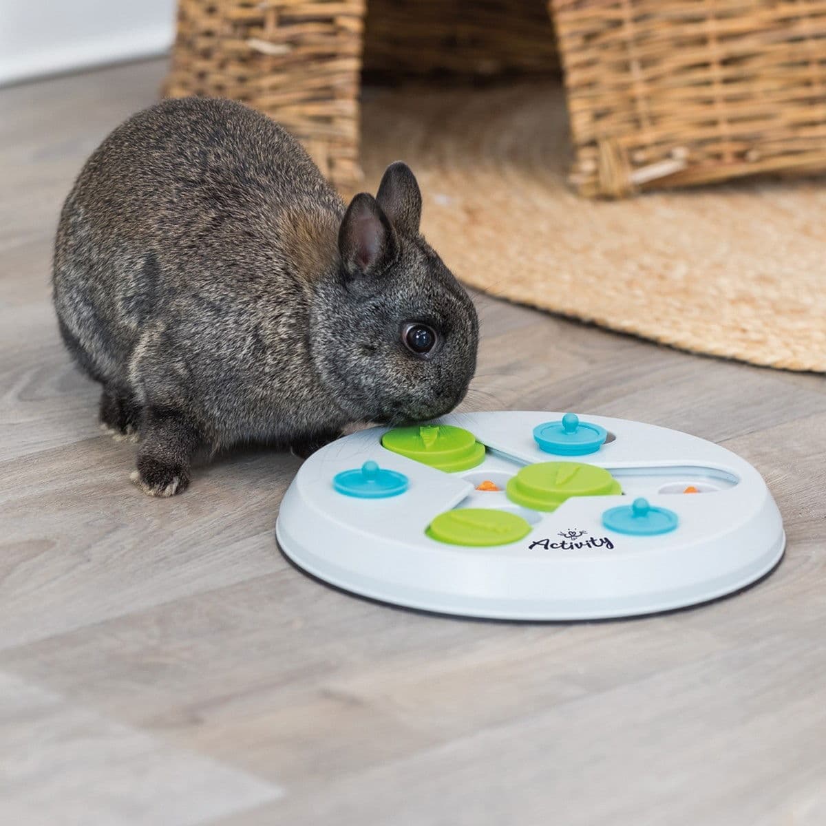 Trixie pieneläimen aktivointilelu Slide & Fun – Trixie