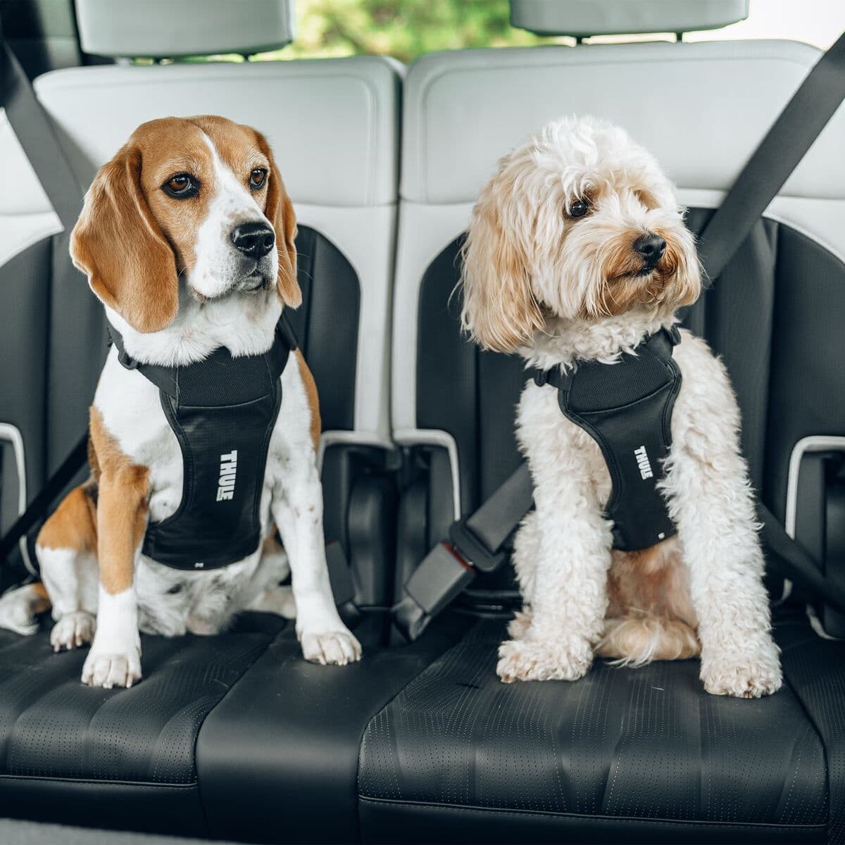 Thule Cappy -autovaljaat – Thule