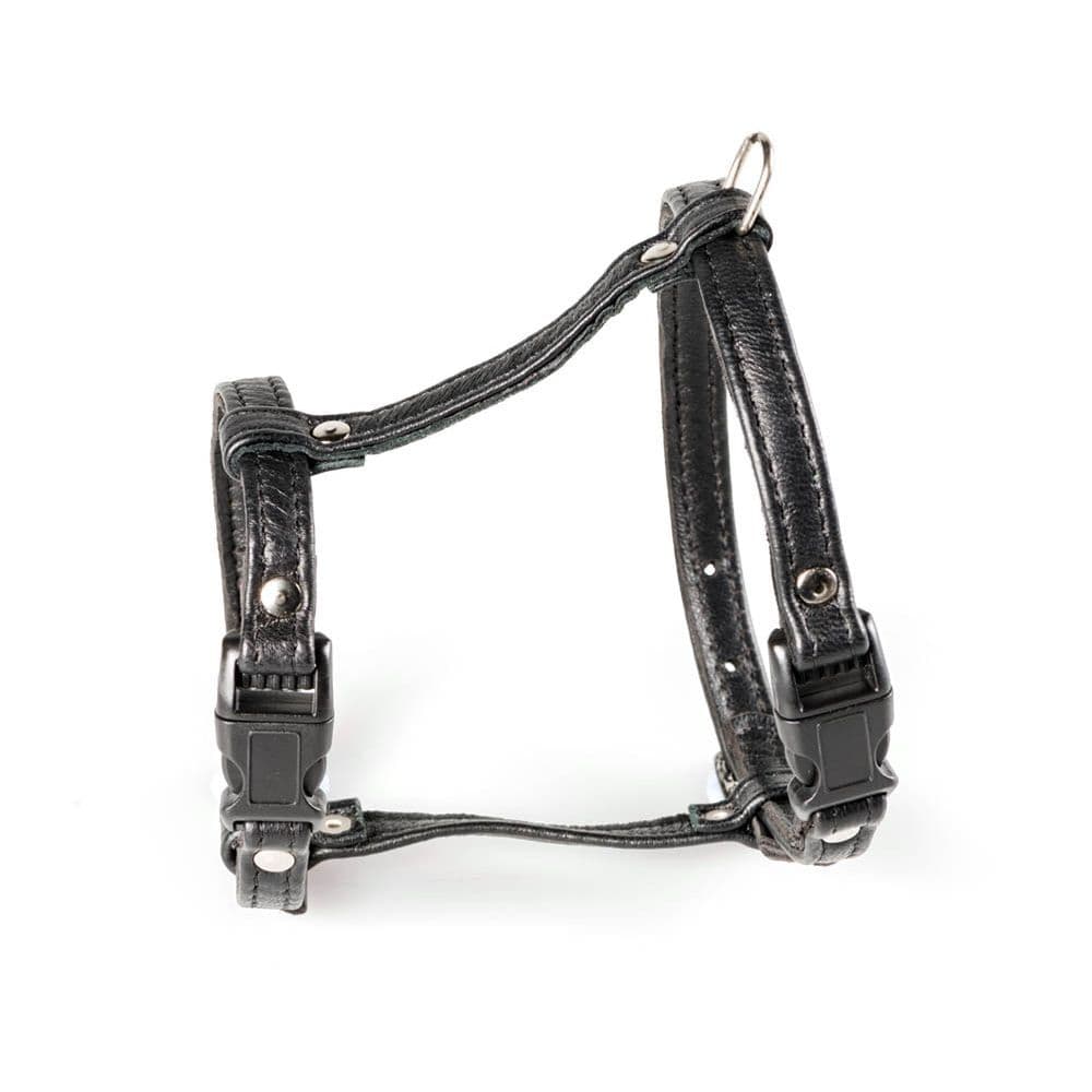 Kissanvaljaat Feel Meow Nappa, musta – Feel